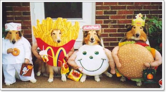 Dogilike.com :: Ὺ�蹪ش������ش���� ^^