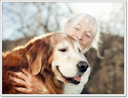 Dogilike.com :: 12 ӶǡѺآҾ 褹ѡعѢʹҡش㹻 2012