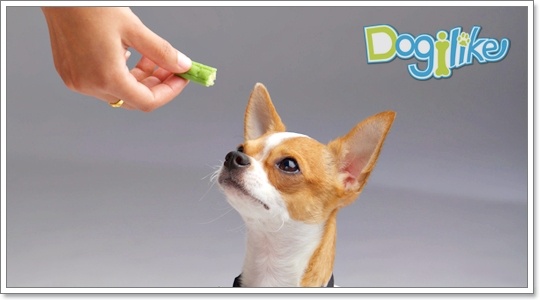 Dogilike.com :: Review : CHEESE ROLL LONG STICK ʹѺͧ