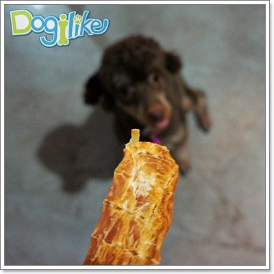 Dogilike.com :: Review : �ѹ���ͺ��� �ٵú��ا����м��˹ѧ����Ѻ�عѢ