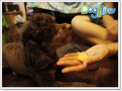 Dogilike.com :: Review : BISCAL DIET ʡԵѺͧҷѧͧ˹ѡ