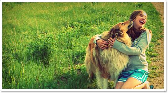 Dogilike.com :: แบ่งเวลา ... เติมความรักให้น้องหมาอย่างถูกวิธี 