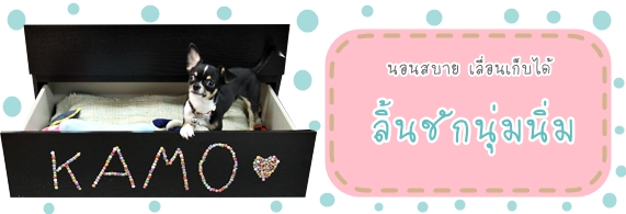 Dogilike.com :: 鹪ѡ