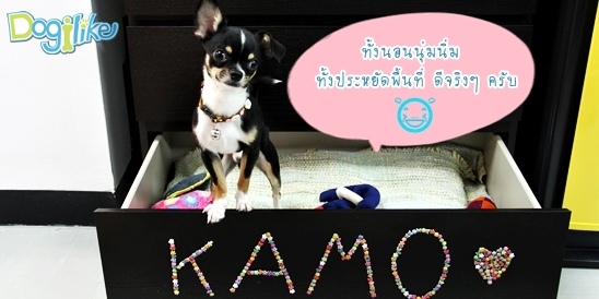 Dogilike.com :: 鹪ѡ
