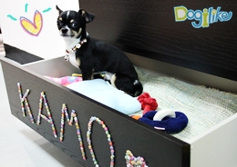 Dogilike.com :: 鹪ѡ