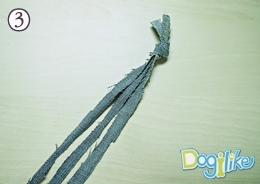 Dogilike.com ::    
