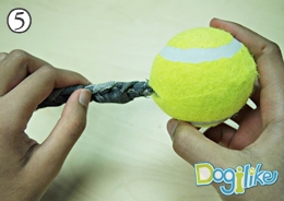 Dogilike.com ::    