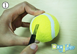 Dogilike.com ::    