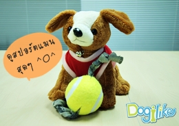 Dogilike.com ::    