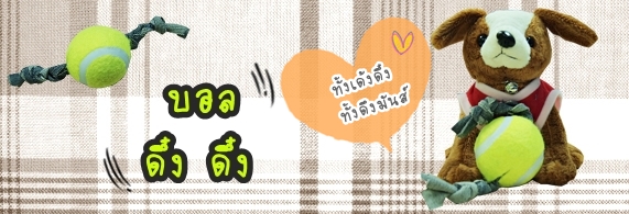 Dogilike.com ::    