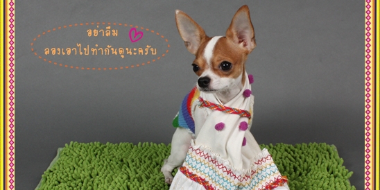 Dogilike.com :: Ҿѹҵش