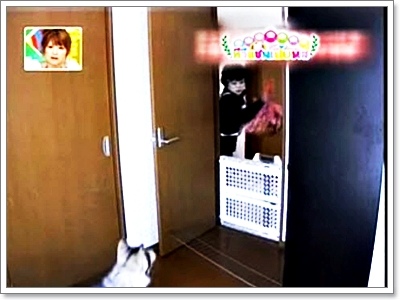 Dogilike.com :: Ըաý֡ͧͿѧẺشš ˴ ѹ
