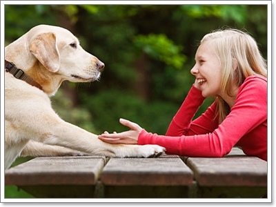ไขปริศนา ... จริงหรือที่น้องหมาเข้าใจภาษาที่เราพูด!? | Dogilike.com