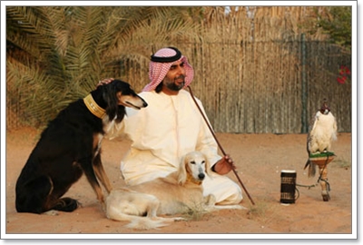 Dogilike.com :: ҵ˭Һҹ˹ ?