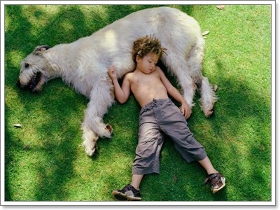 Dogilike.com :: ҵ˭Һҹ˹ ?