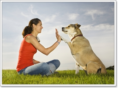 Dogilike.com :: ชีวิตที่มีน้องหมา....เปลี่ยนแปลงสิ่งใดในตัวเราบ้าง? 