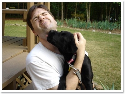 Dogilike.com :: 䢢ʧ ... ͧҶ֧ä?
