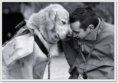 Dogilike.com :: 䢢ʧ ... ͧҶ֧ä?
