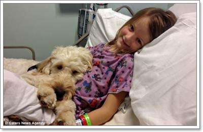 Dogilike.com :: LilyBelle عѢ ǹ»ä!