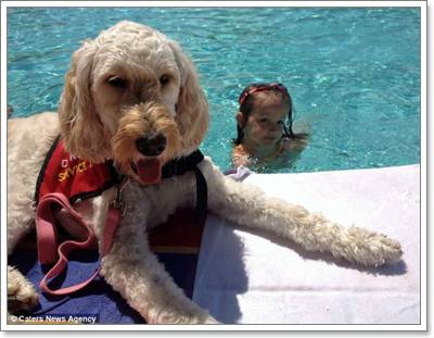 Dogilike.com :: LilyBelle عѢ ǹ»ä!