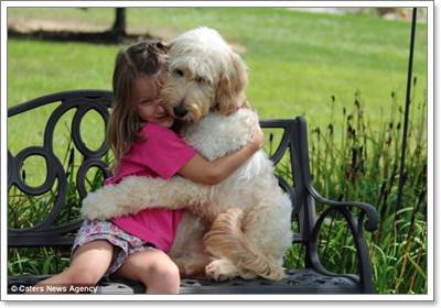 Dogilike.com :: LilyBelle عѢ ǹ»ä!