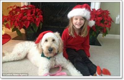 Dogilike.com :: LilyBelle عѢ ǹ»ä!