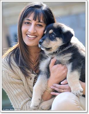 Dogilike.com :: ʹ! ٺشʺ蹫ǵԴҧҧҹ