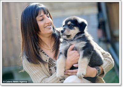 Dogilike.com :: ʹ! ٺشʺ蹫ǵԴҧҧҹ