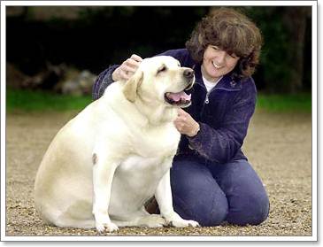 Dogilike.com :: 6 ˵ǷѡͧҾԡ