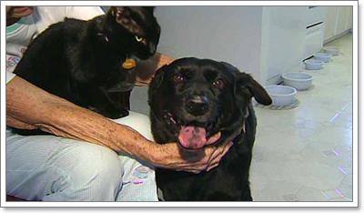 Dogilike.com :: ٺʹ! ¡ªԵس 88 