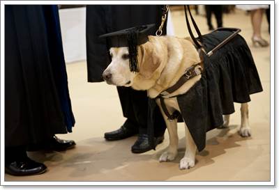 Dogilike.com :: зѺ! عѢѺѺԭҾҢͧѰ