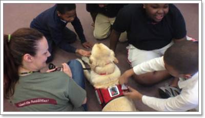 Dogilike.com :: ѭ! عѢӺѴҸ㹡¹