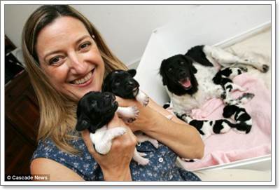 Dogilike.com :: Ңͧ! عѢҡԴѹѺšʹ١ 10 