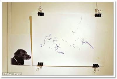 Dogilike.com :: ըѴԷȡûҾҴ͵ٺ Թѵ