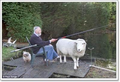 Dogilike.com :: šԧ!  СӾҤԴҵͧعѢ