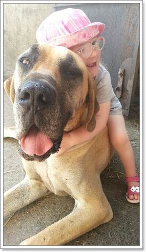 Dogilike.com :: Charlie ҵٺ÷ഹԷѡ硻äѡ