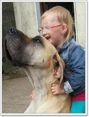 Dogilike.com :: Charlie ҵٺ÷ഹԷѡ硻äѡ