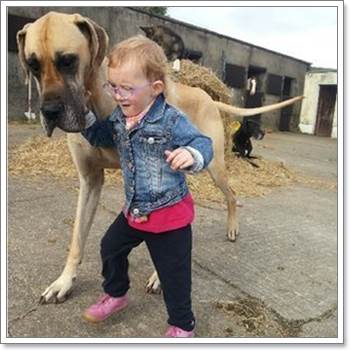 Dogilike.com :: Charlie ҵٺ÷ഹԷѡ硻äѡ