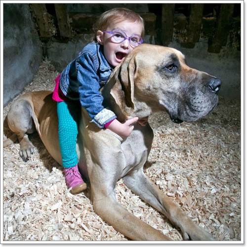 Dogilike.com :: Charlie ҵٺ÷ഹԷѡ硻äѡ