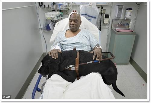Dogilike.com :: شԴ! عѢӷҧªԵҢͧҺʹҧö