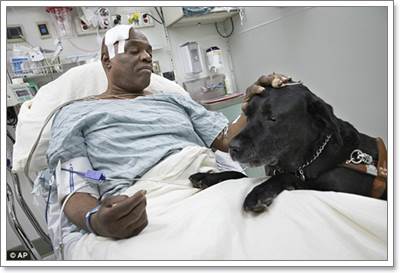 Dogilike.com :: شԴ! عѢӷҧªԵҢͧҺʹҧö