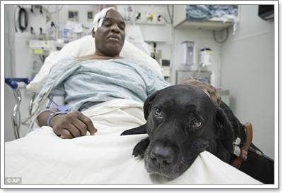 Dogilike.com :: شԴ! عѢӷҧªԵҢͧҺʹҧö