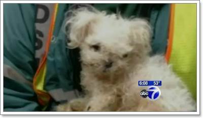 Dogilike.com :: ҹ红Ъ١عѢ١駡͹١ѧź!