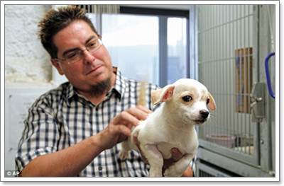 Dogilike.com :: ʹ! ١عѢ¶١駶ѧѰ