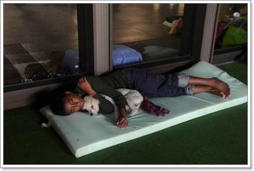 Dogilike.com :: ҾзѺ! 硫ԡѹعѢ˹վҹ