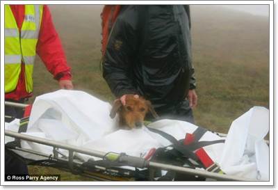 Dogilike.com :: شʹ! ѧɪªԵعѢѡԴ躹