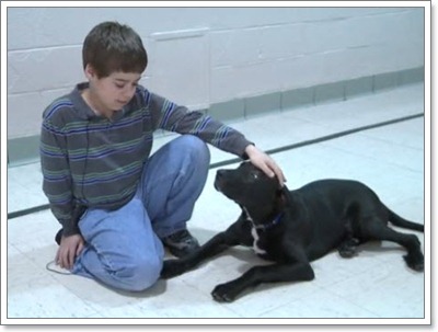 Dogilike.com :: Buster عѢӺѴѲҡ ѭͷԫ!