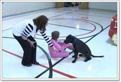 Dogilike.com :: Buster عѢӺѴѲҡ ѭͷԫ!