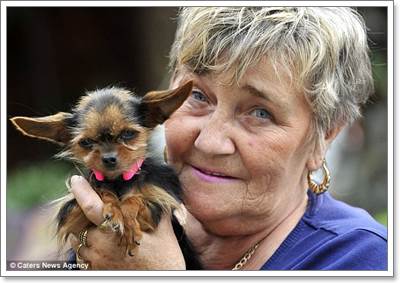 Dogilike.com :: Pagan عѢشѧ