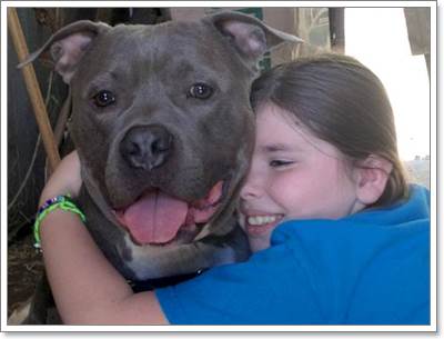 Dogilike.com :: Jeffrey Է㨴 ӺѴҾԵ˹ٹ¨ҡȡү